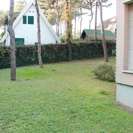 Tulipano * Lignano Sabbiadoro